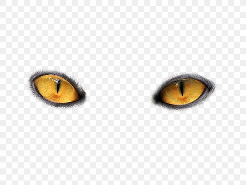 Cat's Eye Light, PNG, 1024x768px, Cat, Eye, Human Eye, Orange, Photography Download Free