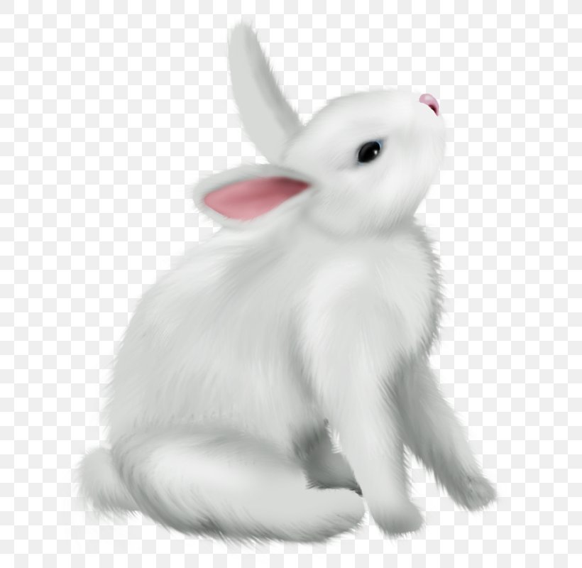 Domestic Rabbit Arctic Hare Easter Bunny, PNG, 678x800px, Domestic Rabbit, Animal, Animal Figure, Arctic Hare, Drawing Download Free