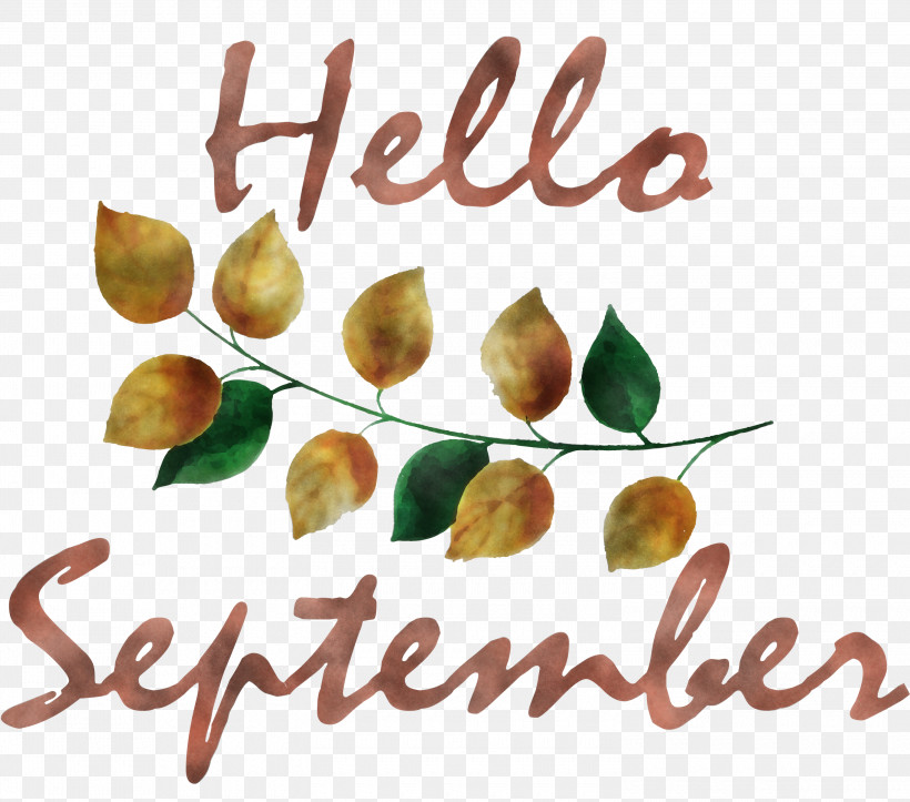 Hello September, PNG, 3000x2646px, Hello September, Meter, Natural Foods, Nut, Superfood Download Free