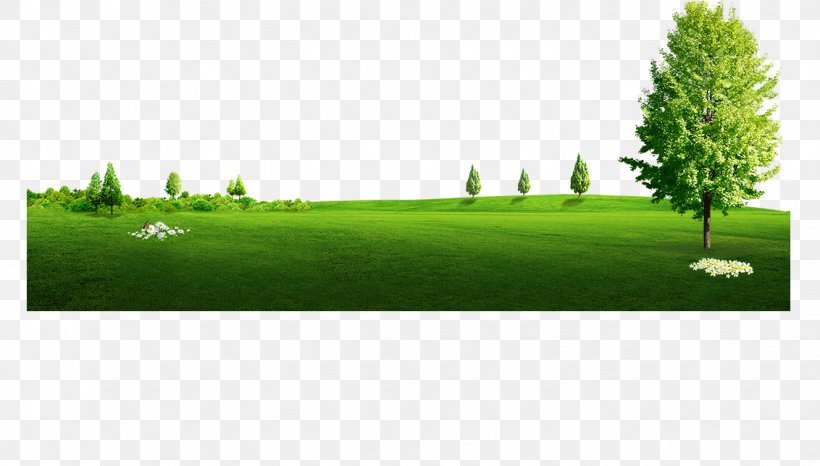 Garden Image Clip Art Lawn, PNG, 1132x644px, Garden, Creativity, Ecosystem, Field, Flower Garden Download Free