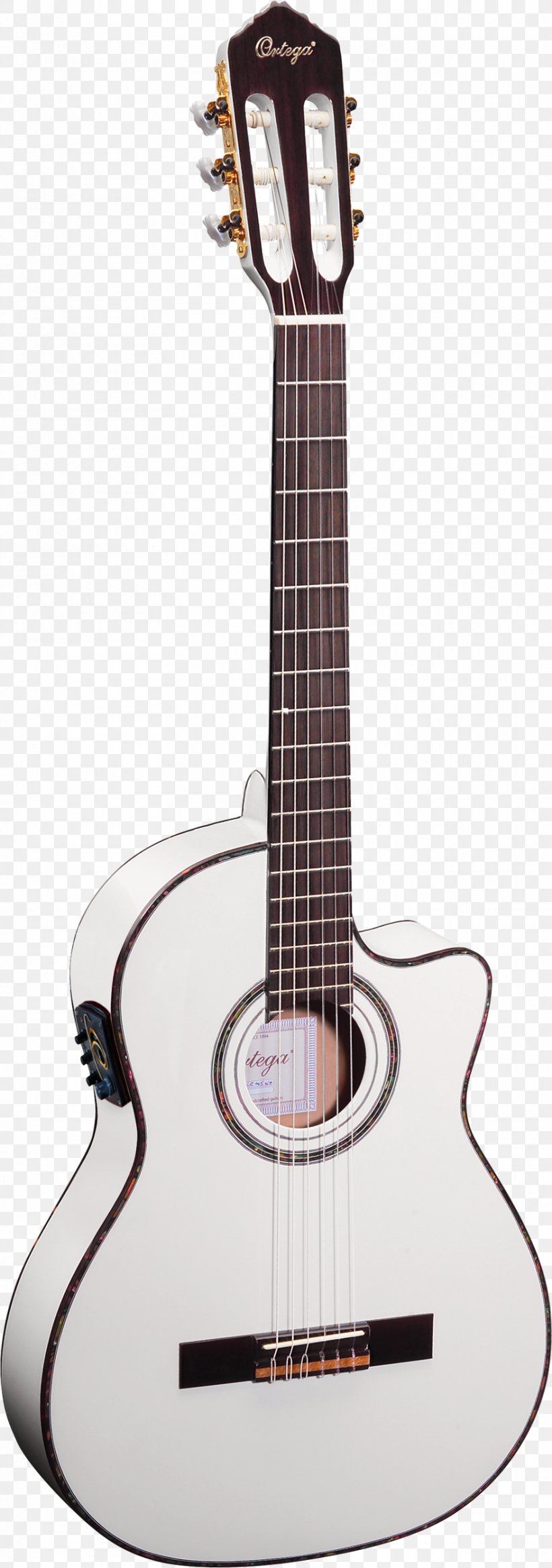 Steel-string Acoustic Guitar Musical Instruments Classical Guitar, PNG, 880x2500px, Watercolor, Cartoon, Flower, Frame, Heart Download Free