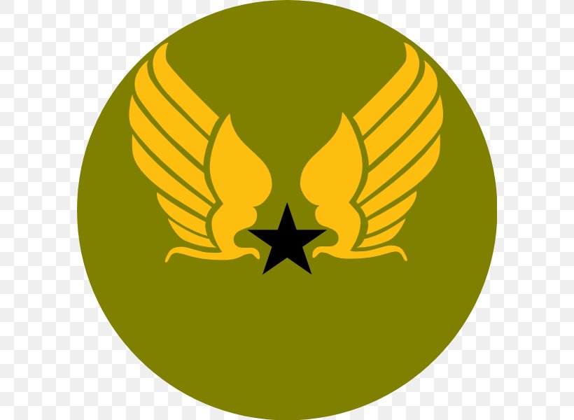 United States Air Force Symbol United States Army Air Forces, PNG, 600x600px, United States, Air Force, Flower, Food, Fruit Download Free