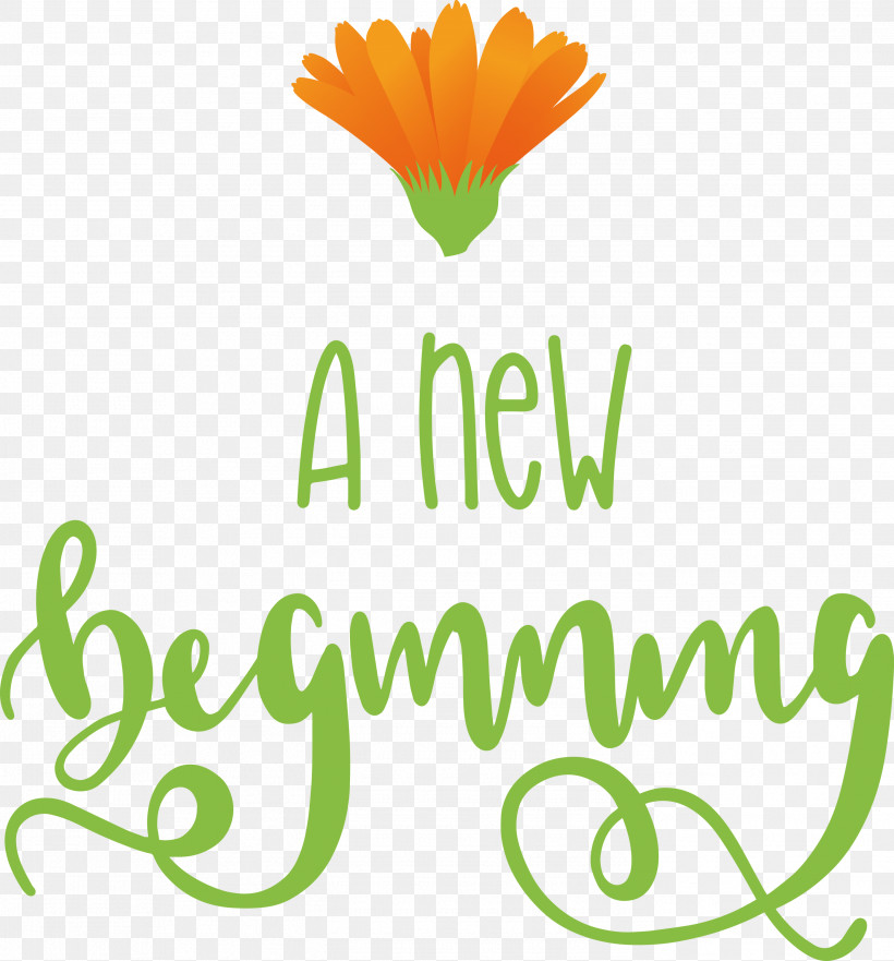 A New Beginning, PNG, 2792x3000px, Flower, Leaf, Line, Logo, Meter Download Free