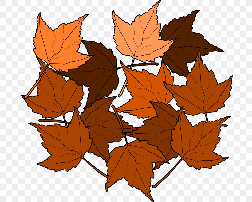 Autumn Leaf Color Clip Art, PNG, 2400x1927px, Leaf, Autumn, Autumn Leaf Color, Branch, Brown Download Free