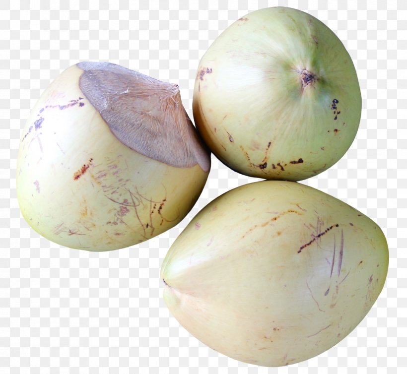 Coconut Chevrolet, PNG, 1222x1124px, Coconut Water, Coconut, Daikon, Food, Fruit Download Free