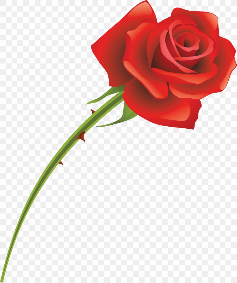 Cut Flowers Garden Roses Red, PNG, 2307x2761px, Flower, Cut Flowers, Flora, Floral Design, Floristry Download Free
