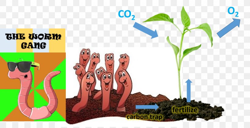 Earthworm Soil Carbon Dioxide Environmental Education, PNG, 1600x821px, Earthworm, Carbon, Carbon Dioxide, Cartoon, Education Download Free