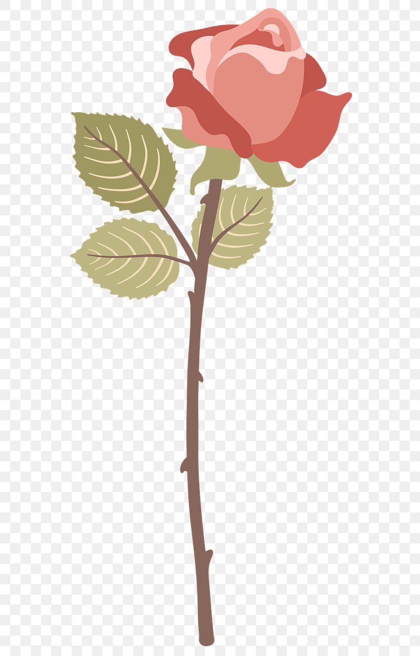 Garden Roses Cabbage Rose Vector Graphics Red Damask Rose, PNG, 600x1280px, Garden Roses, Blume, Branch, Cabbage Rose, Cut Flowers Download Free