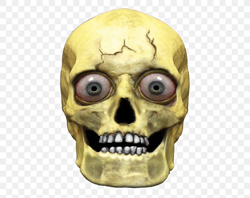 Human Skull Symbolism Head Human Skeleton, PNG, 496x650px, Skull, Bone, Child, Drawing, Face Download Free