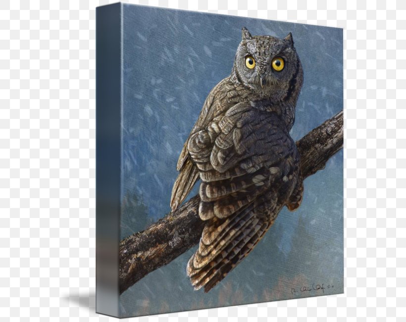 Owl Totem Beak Feminine Intuition Age Of Enlightenment, PNG, 585x650px, Owl, Age Of Enlightenment, Beak, Bird, Bird Of Prey Download Free