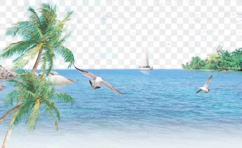 Sea Tree Coconut, PNG, 1024x627px, Sea, Bay, Caribbean, Coast, Coconut Download Free