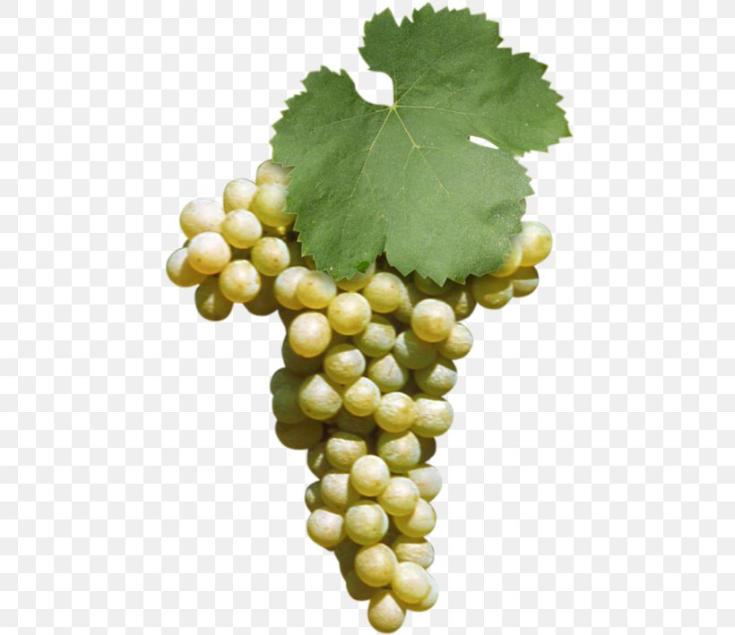 Sultana Fiano Negroamaro Malvasia Wine, PNG, 595x709px, Sultana, Common Grape Vine, Fiano, Food, Fruit Download Free