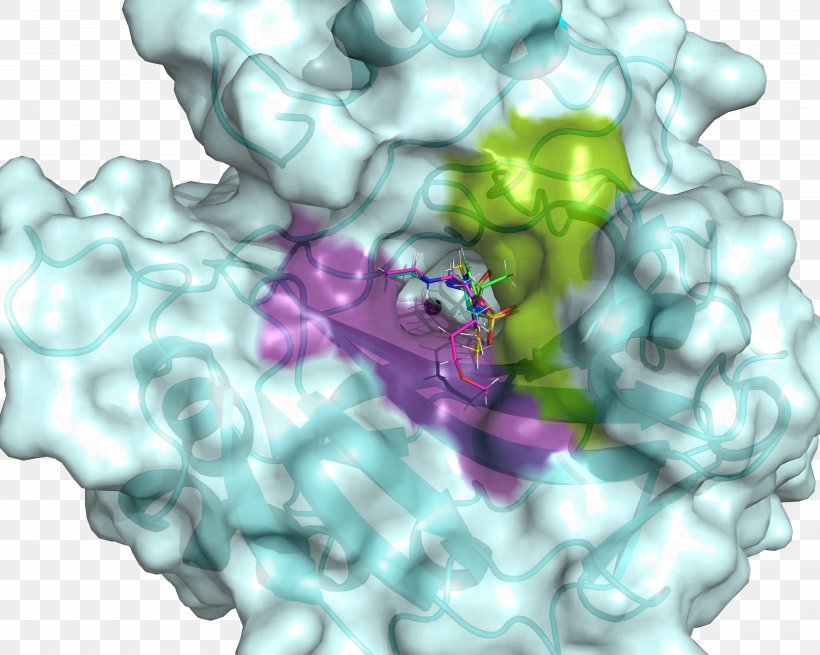 Biochemistry Hydrophobe Doctor Of Philosophy Research Science, PNG, 5000x3995px, Biochemistry, Active Site, Biology, Biomedical Sciences, Doctor Of Philosophy Download Free