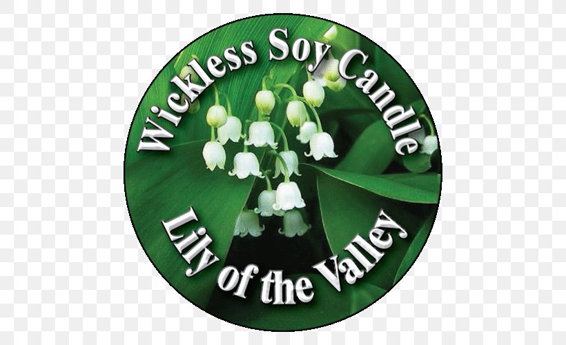 Green Flower Lily Of The Valley Candle, PNG, 500x500px, Green, Candle, Flower, Grass, Lily Of The Valley Download Free