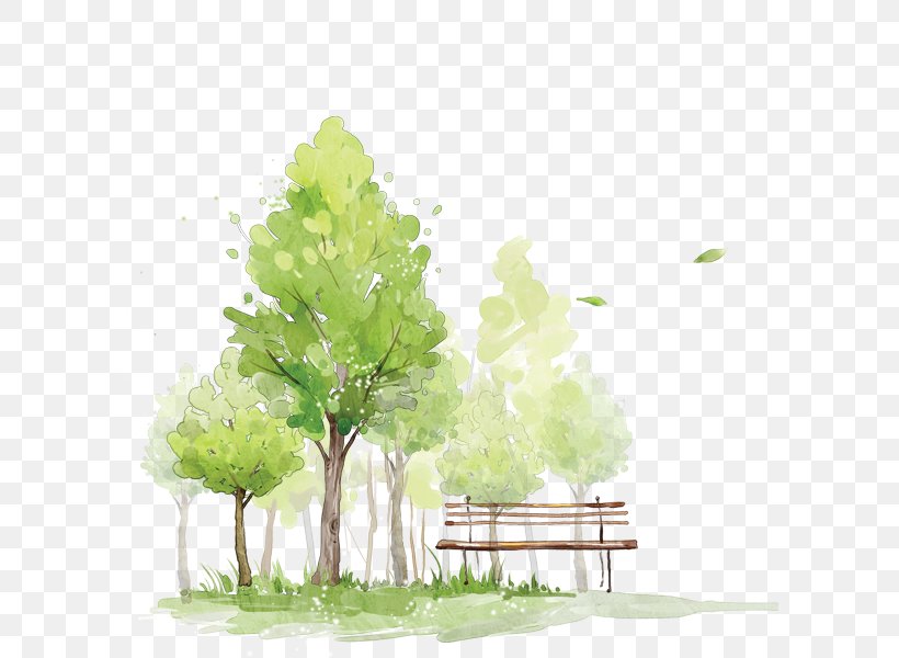 How To Paint Trees In Watercolor Watercolor Painting Sketch, PNG