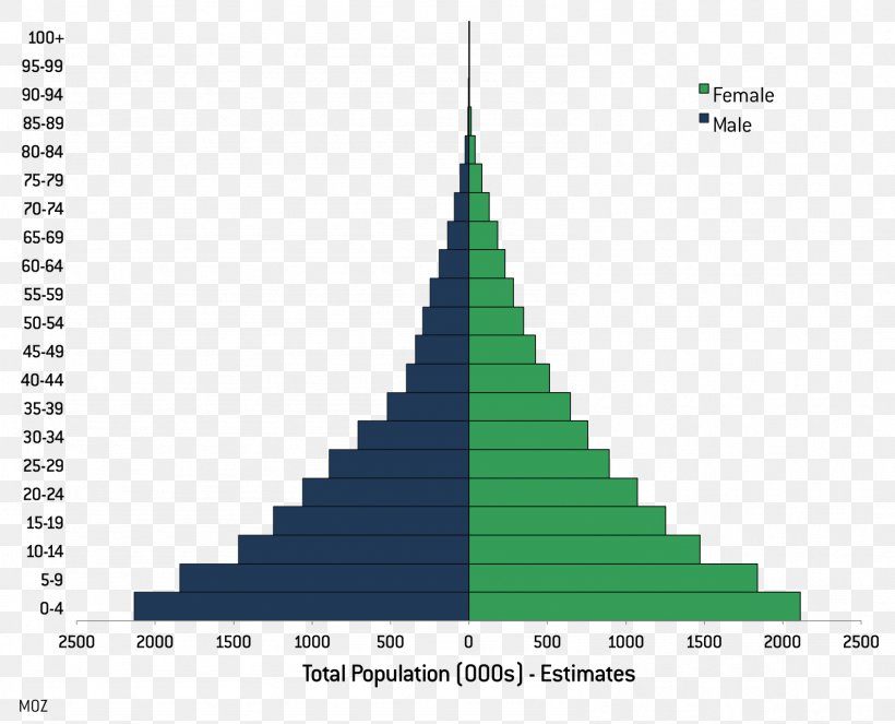 Literacy University Of Utah Education Learning Reading Comprehension, PNG, 1588x1285px, Literacy, Cone, Demography, Diagram, Education Download Free