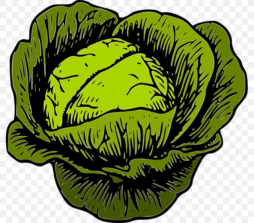 Savoy Cabbage Vegetable Clip Art, PNG, 781x720px, Cabbage, Chinese Cabbage, Flower, Food, Grass Download Free
