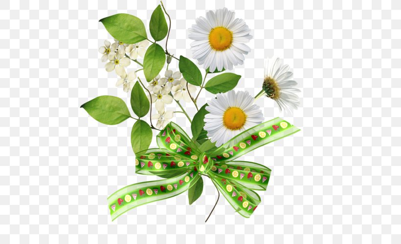 Service Money, PNG, 500x500px, Service, Accounting, Art, Cut Flowers, Daisy Download Free