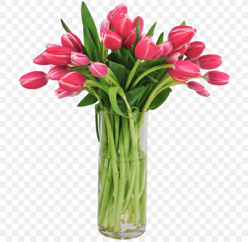 Tulip Cut Flowers Animaatio, PNG, 754x800px, Tulip, Animaatio, Animation, Computer Graphics, Cut Flowers Download Free