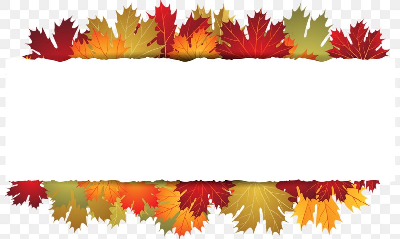 Autumn Leaf Clip Art, PNG, 800x491px, Autumn, Autumn Leaf Color, Leaf, Maple Leaf, Petal Download Free
