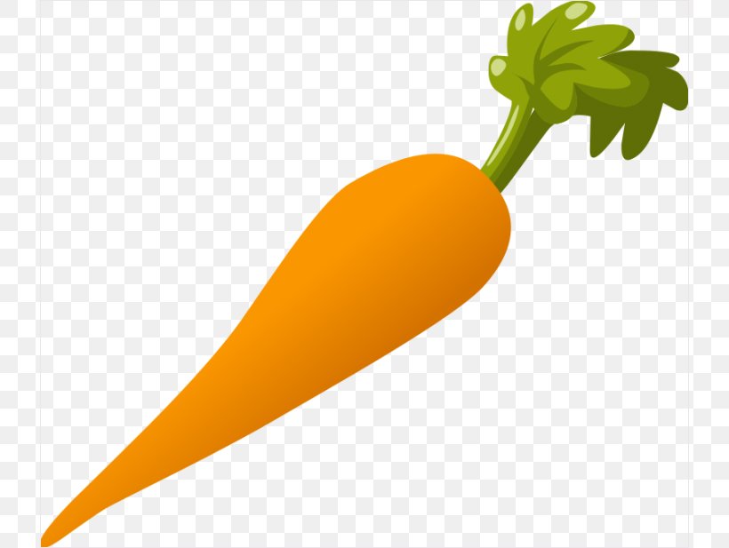 Carrot Clip Art, PNG, 730x617px, Carrot, Arracacia Xanthorrhiza, Baby Carrot, Food, Free Content Download Free