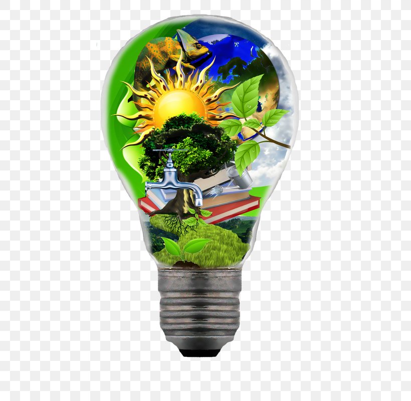Searchlight Flowerpot Incandescent Light Bulb Plant, PNG, 565x800px, Light, Flowerpot, Incandescent Light Bulb, Lamp, Plant Download Free