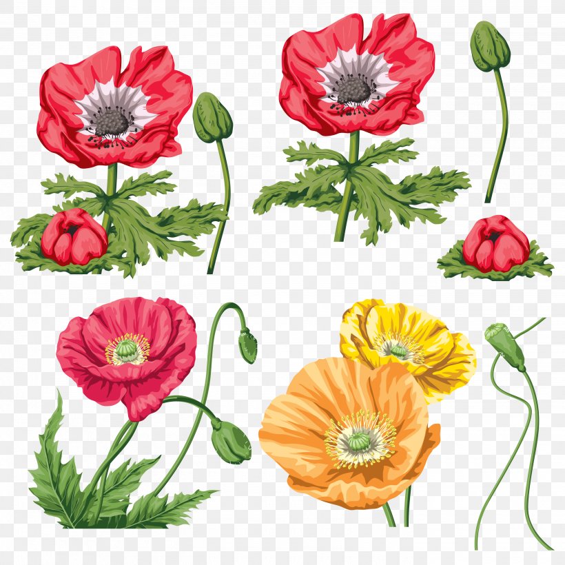 Common Poppy Clip Art, PNG, 2800x2800px, Common Poppy, Annual Plant, Child, Coquelicot, Cut Flowers Download Free