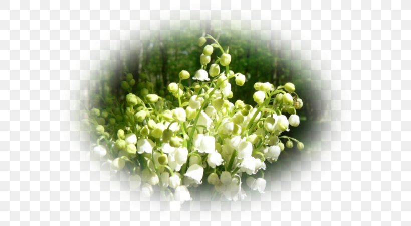 Floral Design, PNG, 600x450px, Floral Design, April, Cut Flowers, Flower, Flower Bouquet Download Free