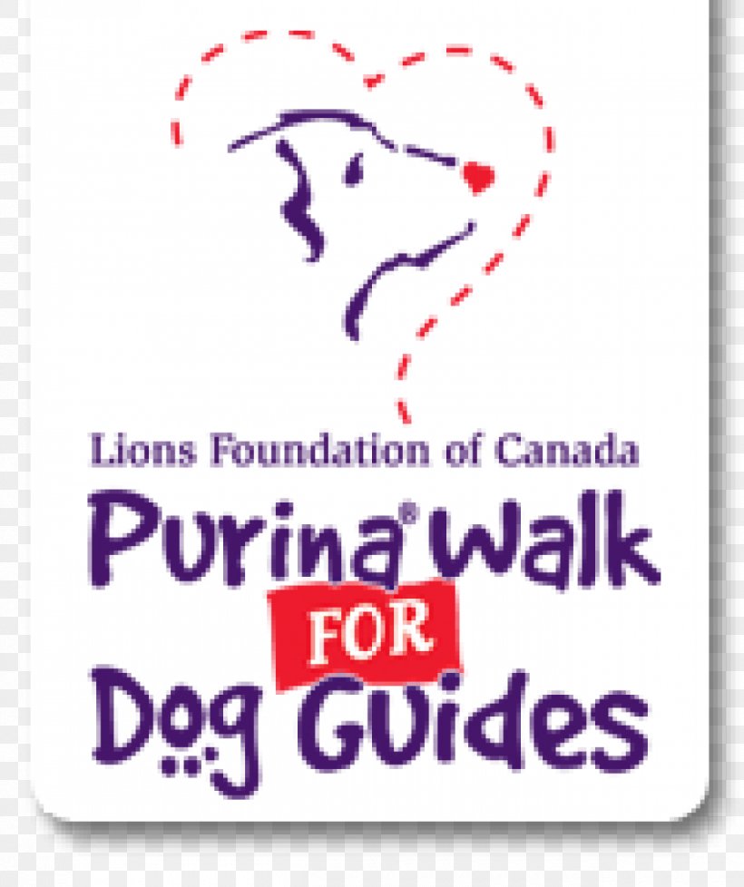 Guide Dog Labrador Retriever Pet Sitting Lions Foundation Of Canada Dog Guides, PNG, 1260x1504px, Guide Dog, Area, Dog, Dog Walking, Foundation Download Free