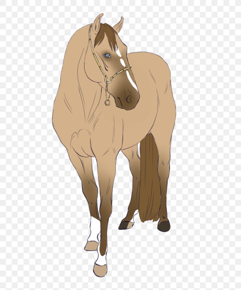 Mule Foal Stallion Mare Halter, PNG, 810x986px, Mule, Bridle, Colt, Donkey, Fictional Character Download Free