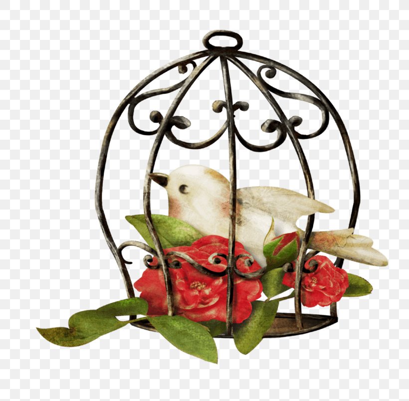 Birdcage Birdcage Image, PNG, 804x804px, Bird, Birdcage, Cage, Candle Holder, Floral Design Download Free