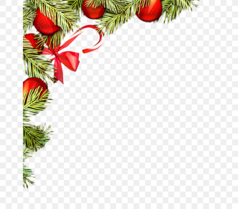 Christmas Tree Branch, PNG, 662x720px, Christmas Tree, Branch, Brazil, Christmas, Christmas Decoration Download Free