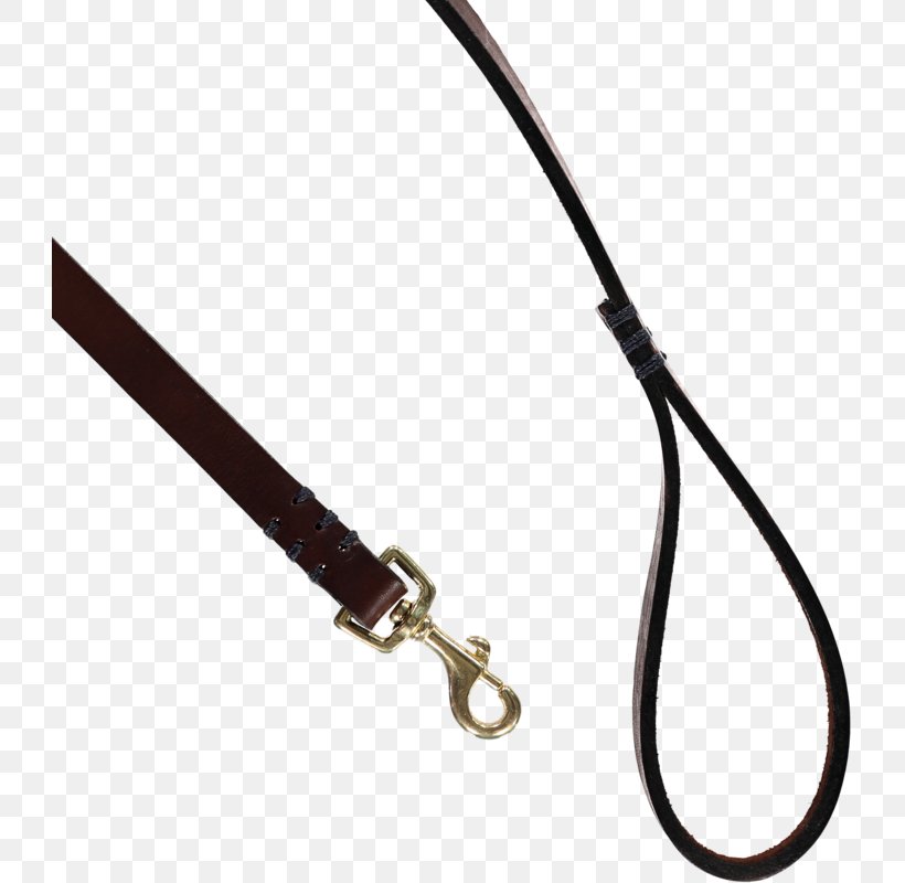 Leash Dog Stirrup Belt Leather, PNG, 725x800px, Leash, Beige, Belt, Blue, Color Download Free