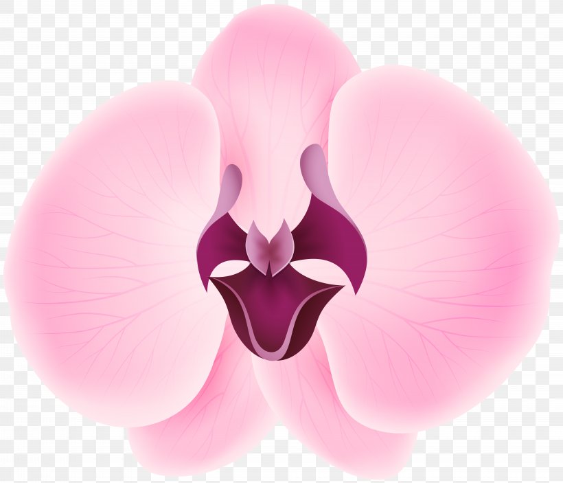 Petal International Checker Hall Of Fame Flower Credit Card Sepal, PNG, 8000x6862px, Petal, Close Up, Color, Flower, Flowering Plant Download Free