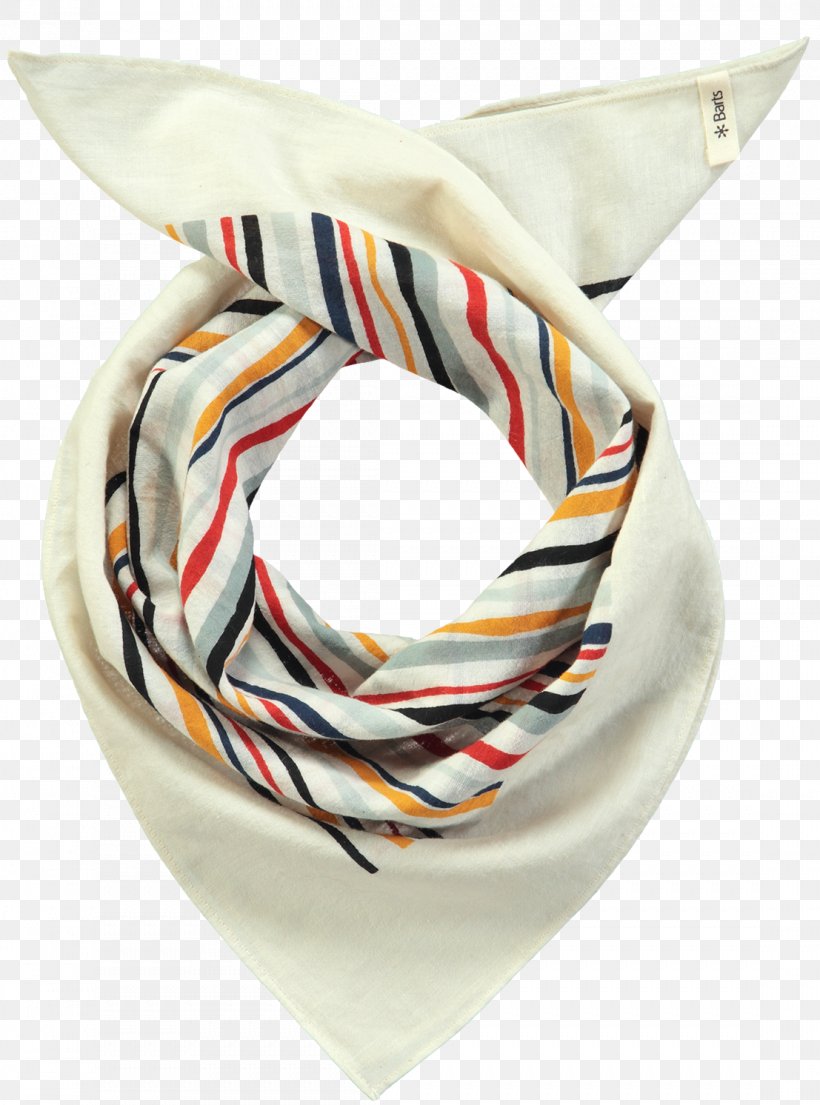 Scarf Amazon.com Clothing Accessories Online Shopping, PNG, 1107x1492px, Scarf, Amazoncom, Bag, Clothing, Clothing Accessories Download Free