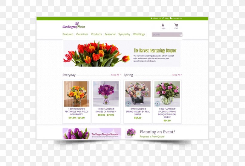 Web Development Web Design Marketing Web Page, PNG, 864x584px, Web Development, Advertising, Brand, Digital Marketing, Floral Design Download Free