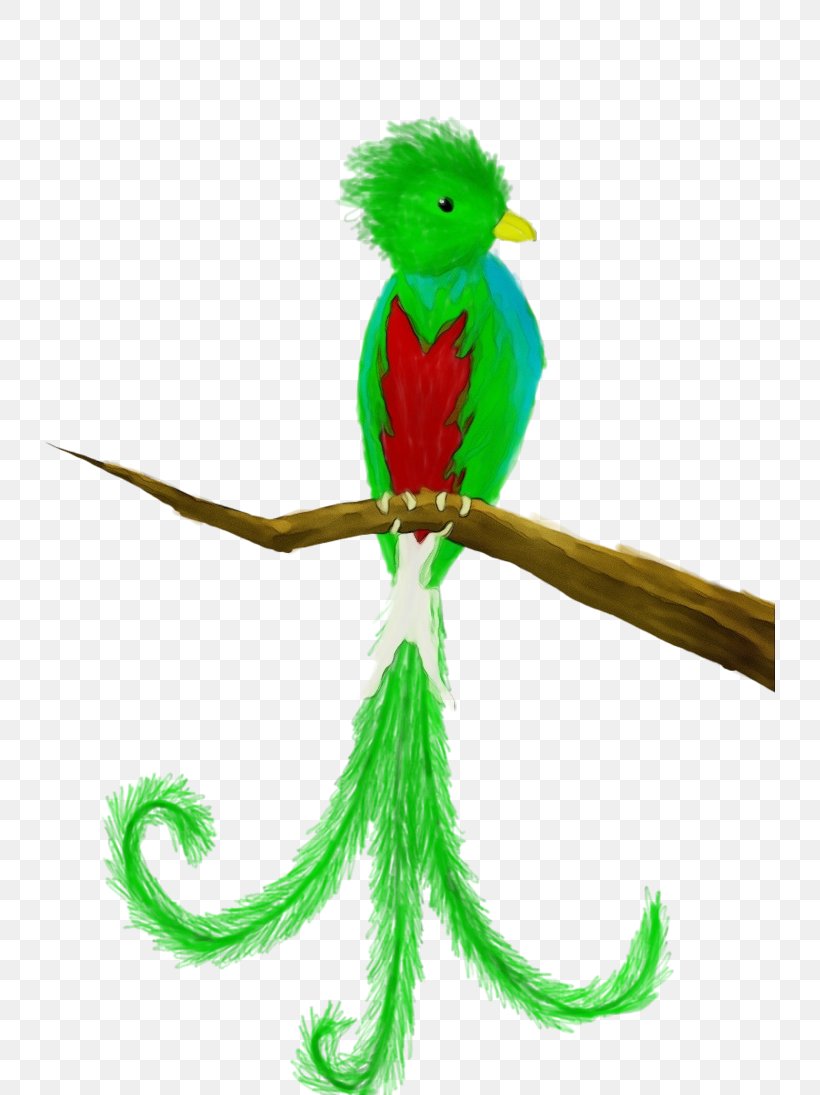 Quetzal Green Parrot Budgie Parakeet, PNG, 730x1095px, Watercolor, Beak, Bird, Budgie, Fictional Character Download Free