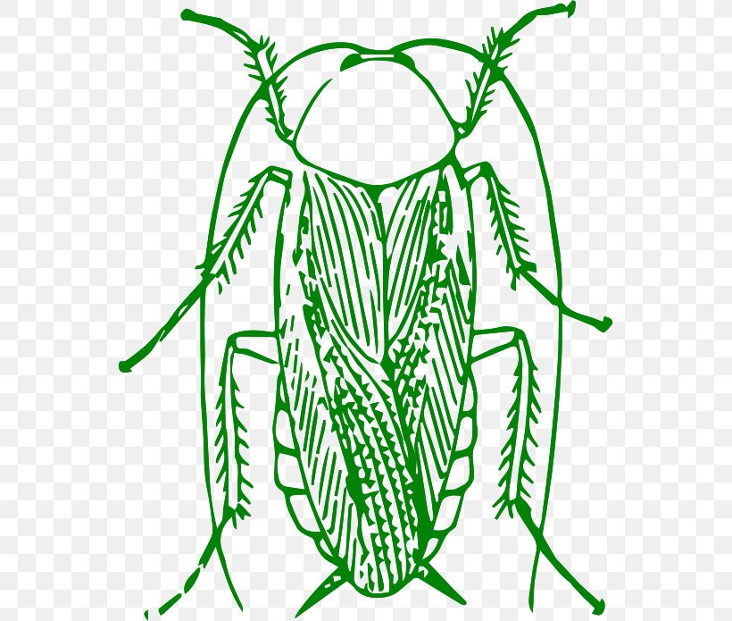 Cockroach Insect Clip Art Image, PNG, 554x695px, Cockroach, American Cockroach, Artwork, Black And White, Blattidae Download Free
