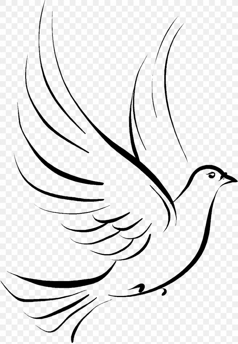Columbidae Doves As Symbols Drawing Clip Art, PNG, 830x1202px, Columbidae, Artwork, Beak, Beauty, Bird Download Free
