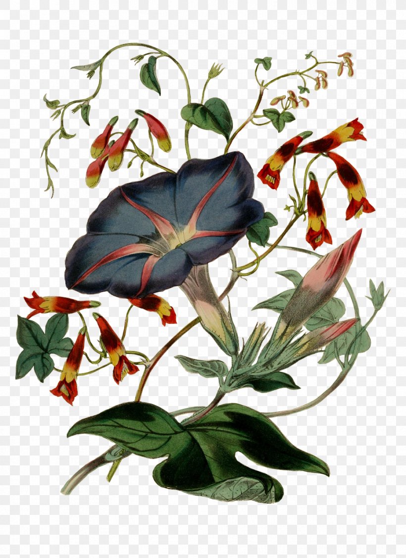 Flower Floral Design Clip Art Image, PNG, 931x1280px, Flower, Art, Flora, Floral Design, Flower Arranging Download Free