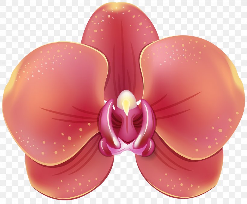 Orchids Flower Clip Art, PNG, 3000x2491px, Orchids, Color, Flower, Green, Magenta Download Free