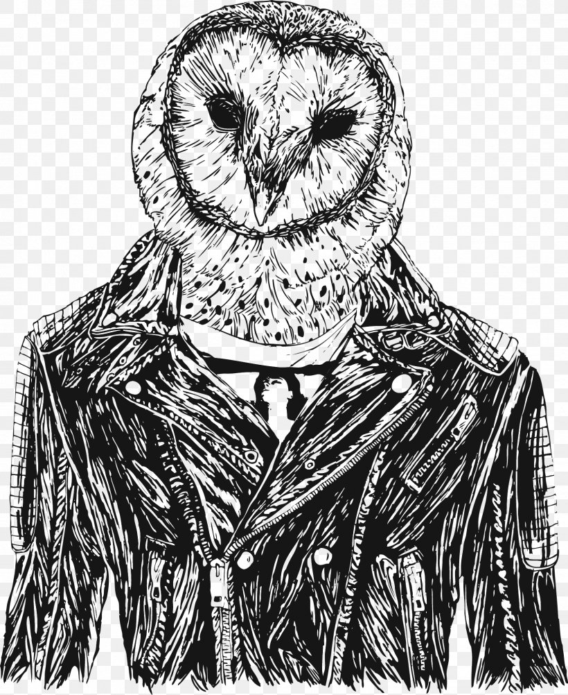 Owl Bird Drawing Jacket Art, PNG, 1624x1985px, Owl, Art, Beak, Bird, Bird Of Prey Download Free