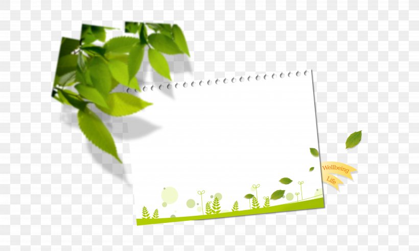 Paper Brand Graphic Design Wallpaper, PNG, 5906x3543px, Paper, Brand, Calendar, Grass, Green Download Free