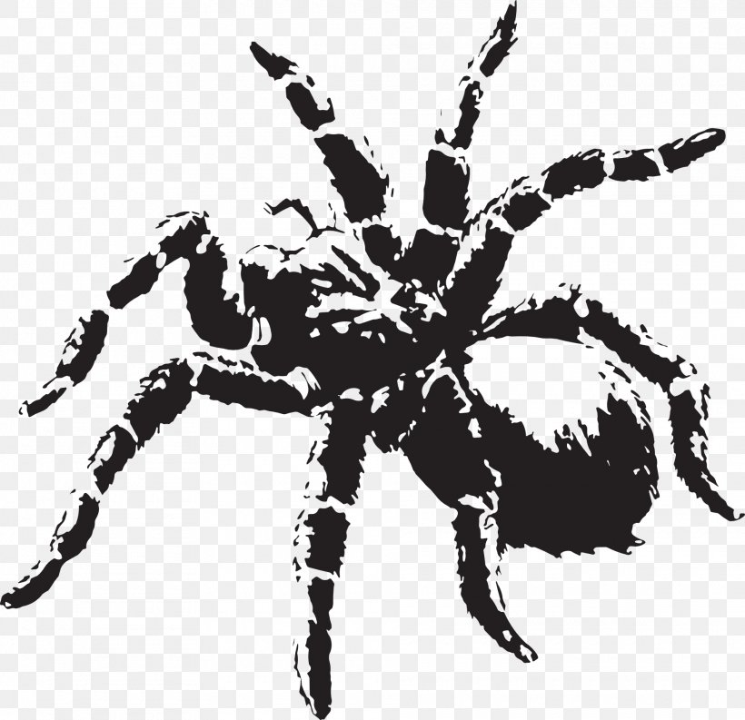 Spider Tarantula Clip Art, PNG, 1920x1859px, Spider, Arachnid, Arthropod, Black And White, Brazilian Red And White Tarantula Download Free