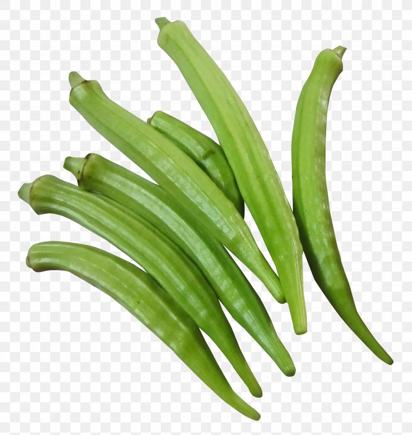 Okra Vegetable Food, PNG, 1512x1595px, Okra, Bean, Broccoli, Commodity, Dietary Fiber Download Free