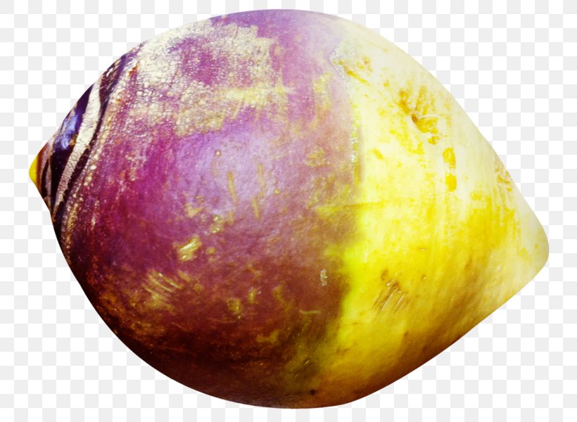 Rutabaga Turnip Root Vegetables, PNG, 800x600px, Rutabaga, Cabbage, Cabbages, Easter Egg, Food Download Free