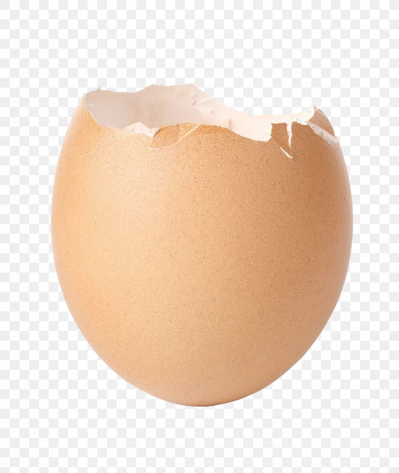 Chicken Eggshell, PNG, 863x1024px, Chicken, Animal, Egg, Egg Incubation, Egg White Download Free