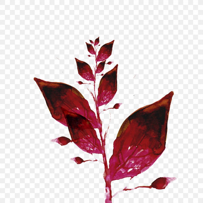 Leaf Ink Color Wallpaper, PNG, 1500x1500px, Paint, Color, Flower, High Definition Television, Ink Download Free
