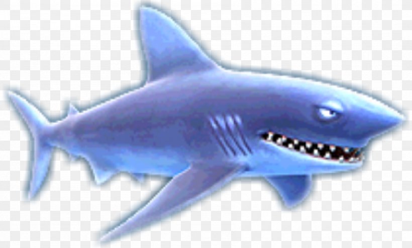 Shark Jaws Hungry Shark Evolution Isurus Oxyrinchus Longfin Mako Shark, PNG, 1794x1082px, Shark Jaws, Android, Carcharhiniformes, Cartilaginous Fish, Electric Blue Download Free