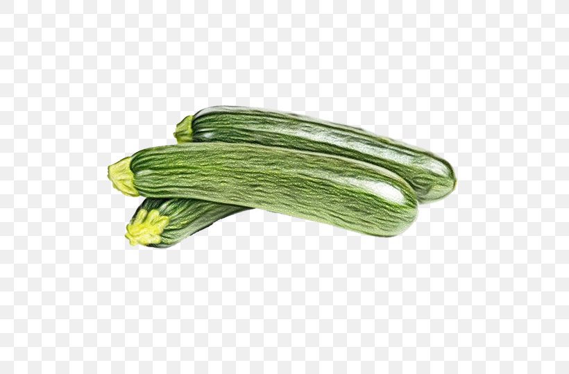 Vegetable Plant Armenian Cucumber Cucumis Food, PNG, 680x539px, Watercolor, Armenian Cucumber, Cucumber Gourd And Melon Family, Cucumis, Food Download Free